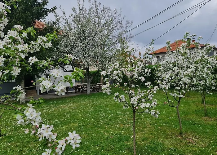 Green Garden Apartment