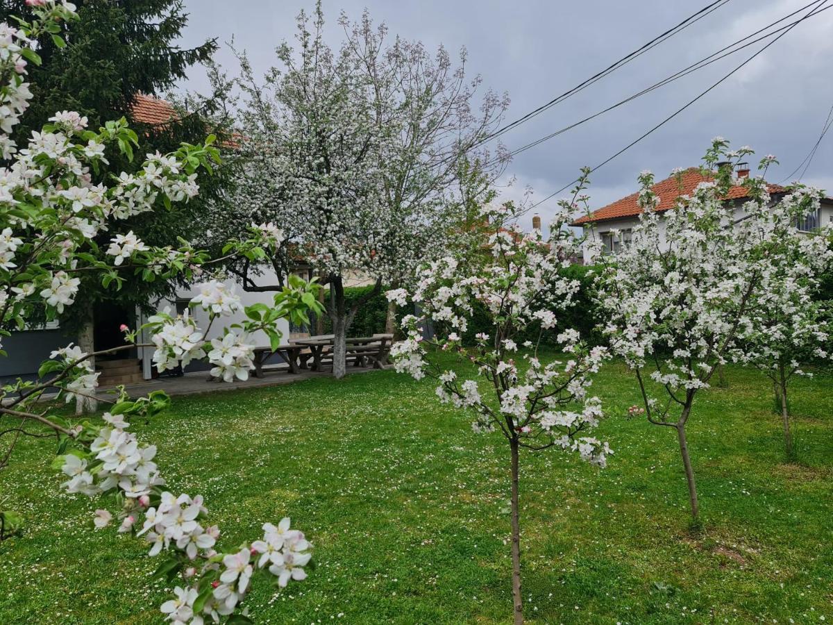Garden Apartment